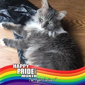 Meet your Posher, April